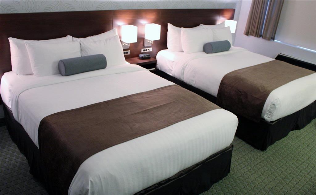 Rodd Moncton Hotel Room photo
